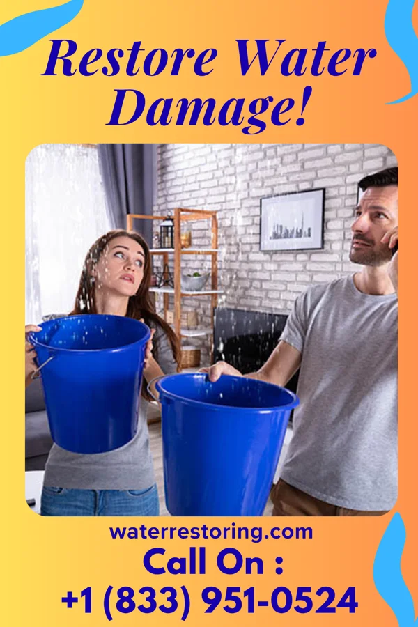 water restoration Water Cleanup Specialists Cataula